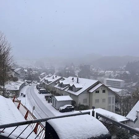 A&d Elsasser Blick - Bei Buehl, Baden-baden & Schwarzwald Appartement