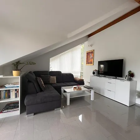 Appartement A&d Elsasser Blick - Bei Buehl, Baden-baden & Schwarzwald Bühlertal