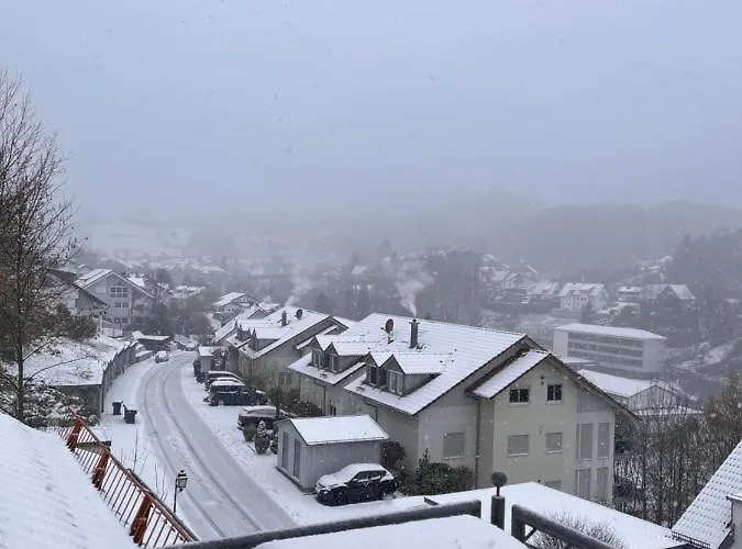 A&d Elsasser Blick - Bei Buehl, Baden-baden & Schwarzwald شقة